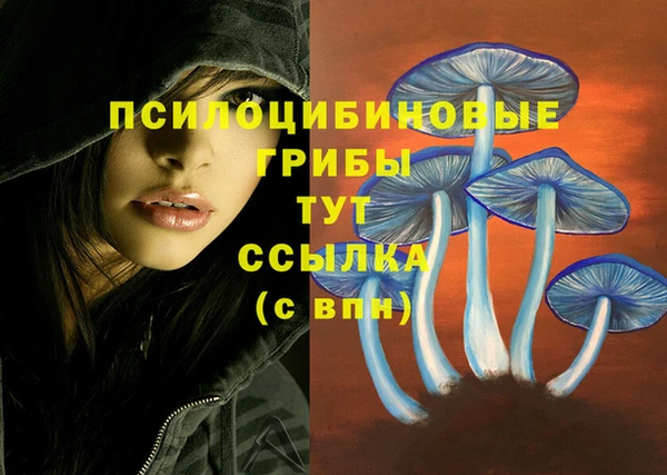 дмт Абинск