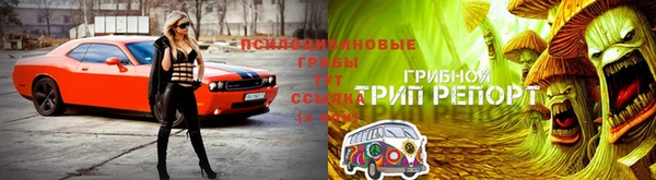 прущие крисы Абдулино
