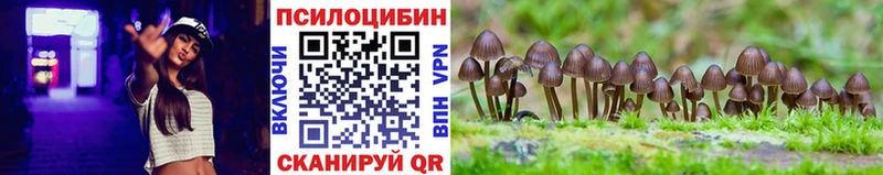 Псилоцибиновые грибы прущие грибы  Балахна 